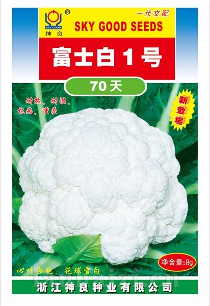 富士白1号--富士白系列白花菜