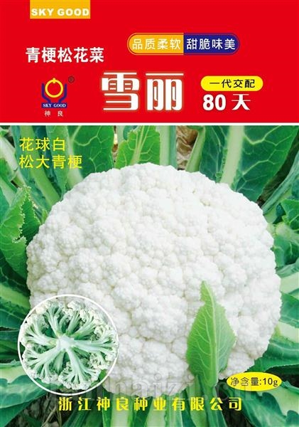 雪丽80天--雪丽系列松花菜