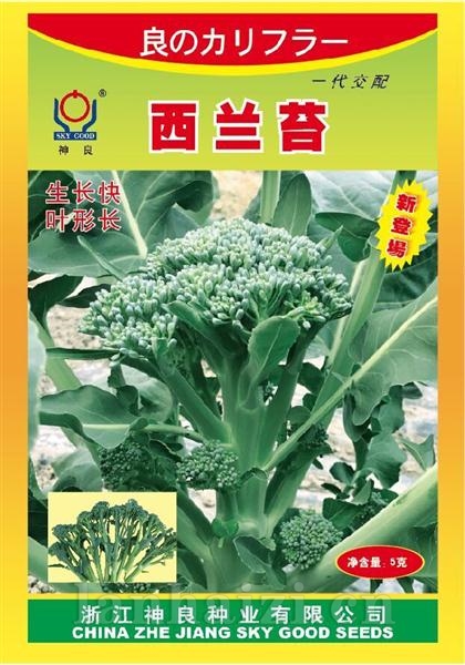 神良西兰苔特色新品种推荐--其他品种