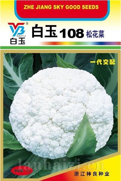白玉108--其他品种