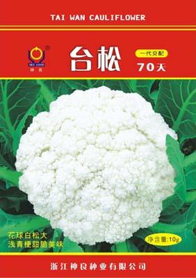 台松70天--台松系列松花菜