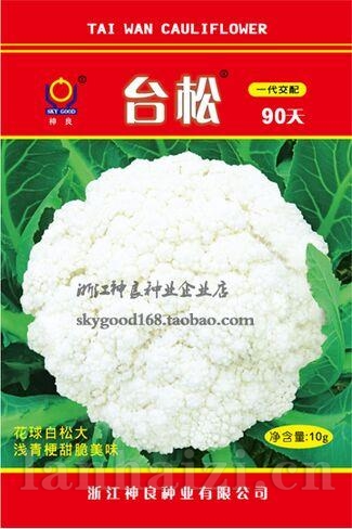 台松90天--台松系列松花菜