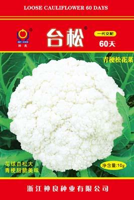 台松60天--台松系列松花菜