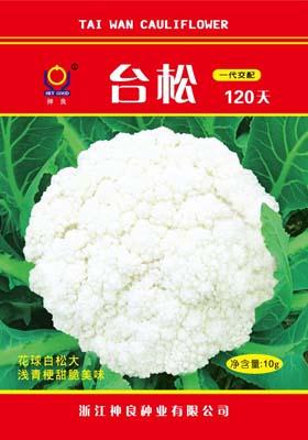 台松120天--台松系列松花菜