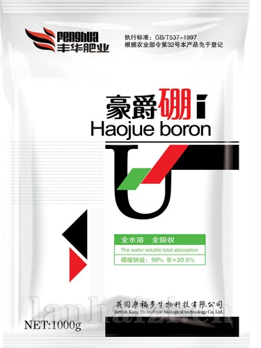 高纯硼-1000g