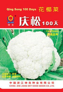 庆松100天--庆松系列松花菜