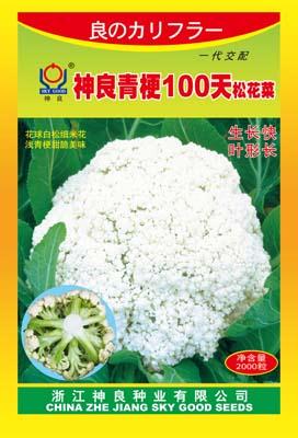 神良青梗100天--神良青梗系列松花菜