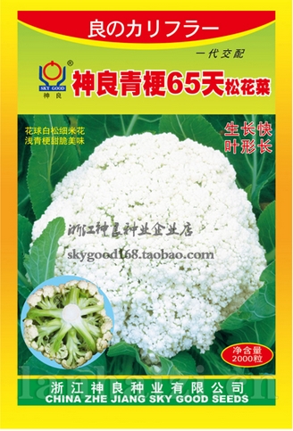 神良青梗65天--神良青梗系列松花菜