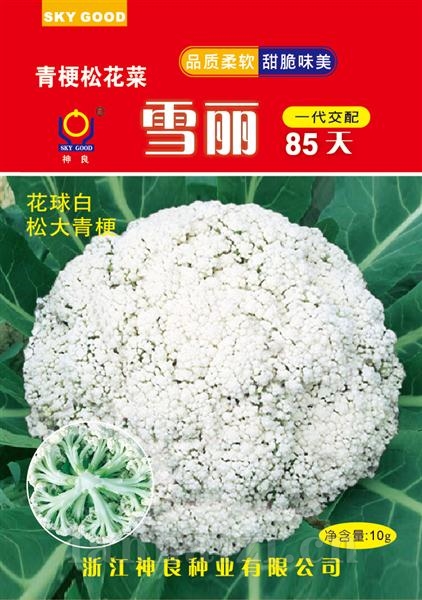 雪丽85天--雪丽系列松花菜