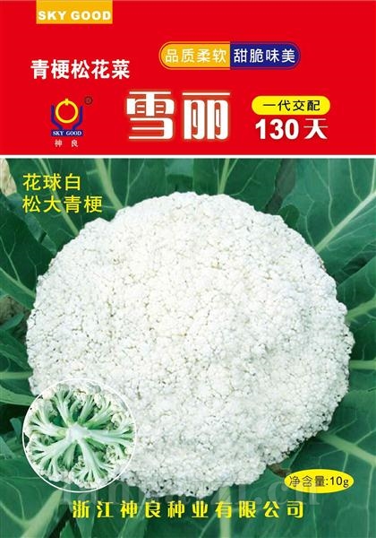 雪丽130天--雪丽系列松花菜