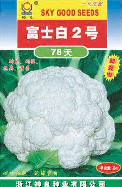 富士白2号--富士白系列白花菜