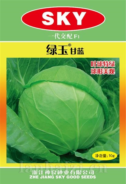 绿玉甘蓝--其他品种