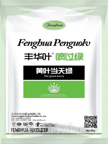 丰华叶喷过绿50g