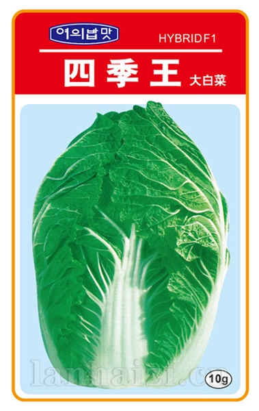 四季王