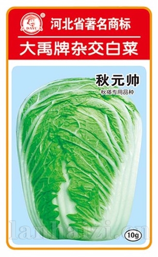 秋元帅