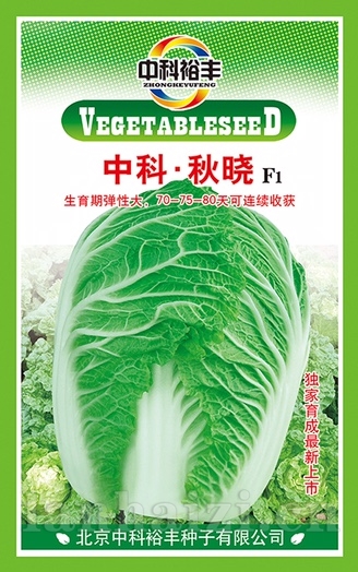 秋晓