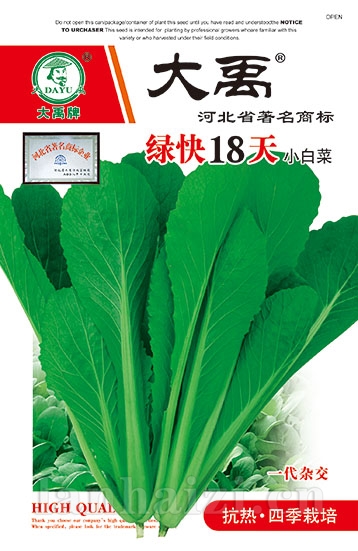 绿快18天