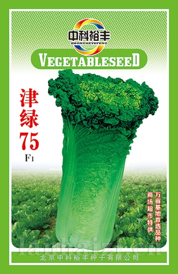 津绿60