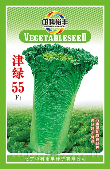 津绿55