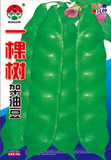 一棵树架油豆