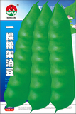 一棵松架油豆