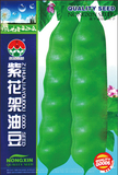 紫花架油豆