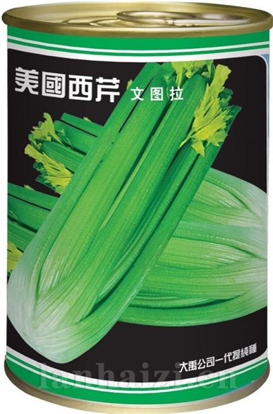 美国西芹文图拉罐装黑色