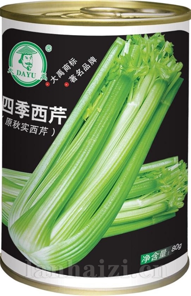 四季西芹罐装