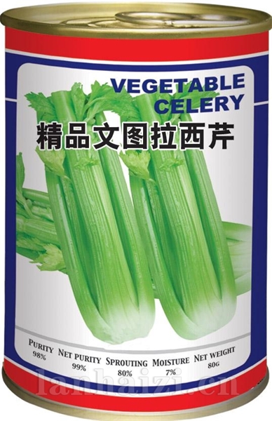 精品文图拉西芹罐装