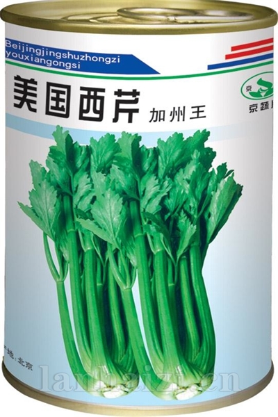 美国西芹罐装