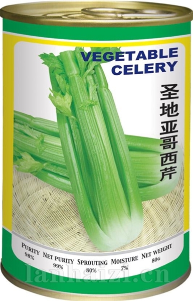 圣地亚哥西芹罐装