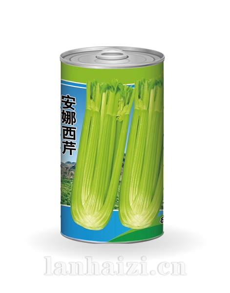 安娜西芹
