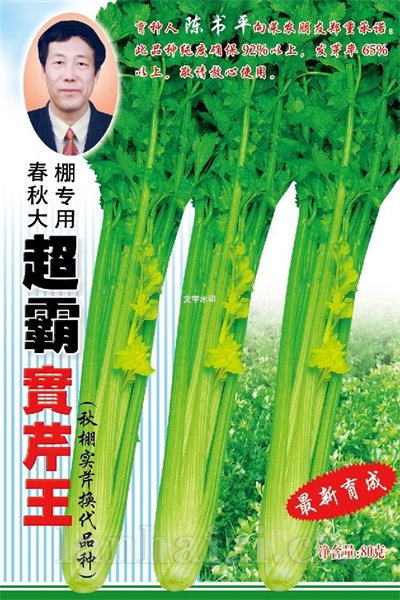 超霸实芹王
