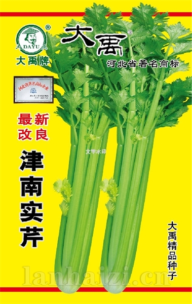 津南实芹金版