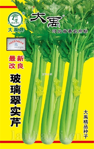 玻璃翠实芹金版