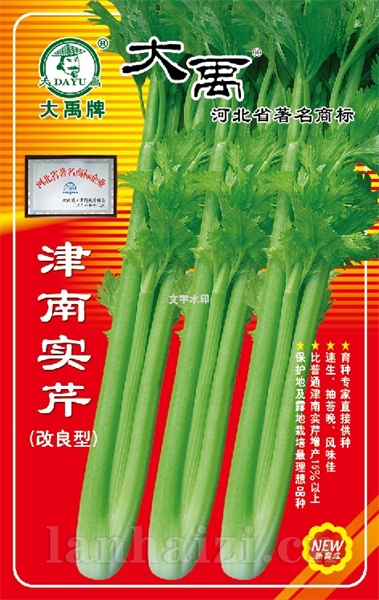 津南实芹