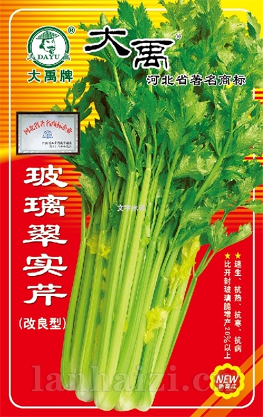 玻璃翠实芹