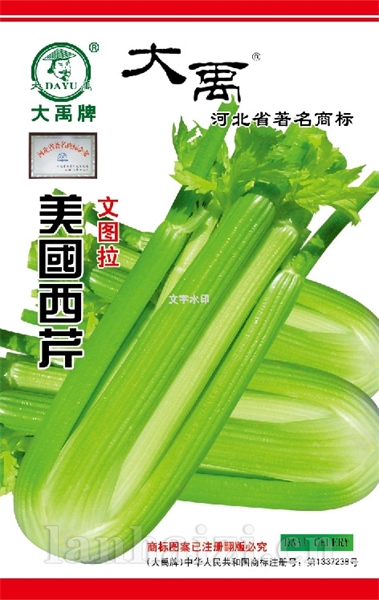 美国西芹文图拉罐装