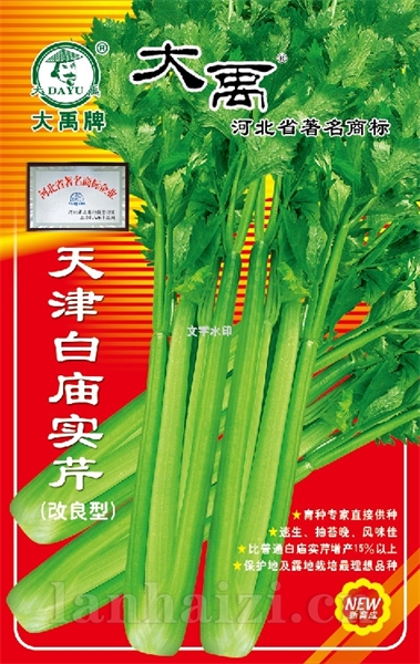 白庙实芹
