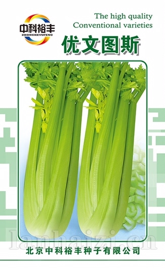 优文图斯