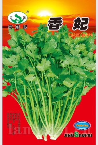 香妃