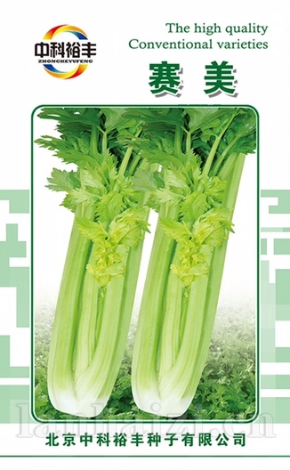 赛美