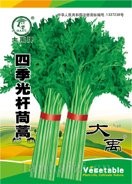 四季光杆茼蒿