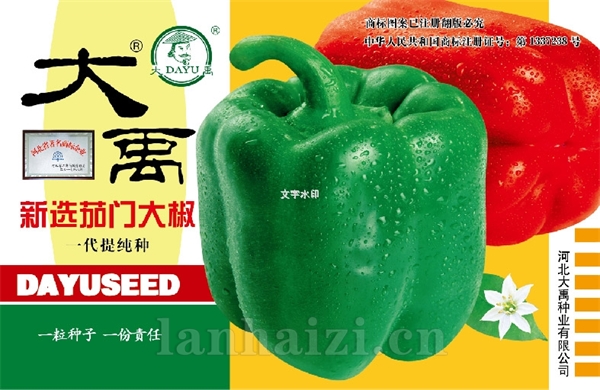 新选茄门大椒
