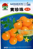 黄珍珠番茄