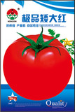 极品矮大红