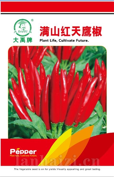 满山红天鹰椒