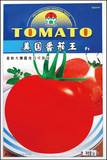 美国番茄王