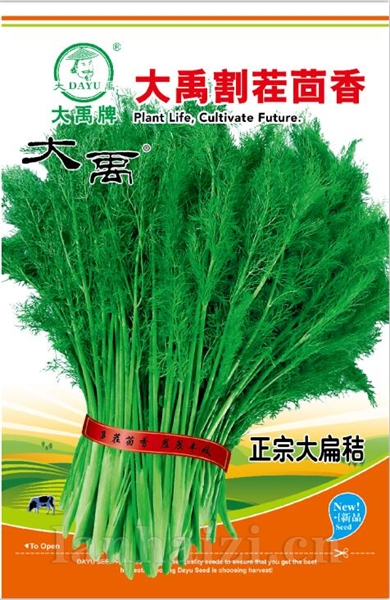 大禹割茬茴香