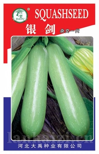 银剑
